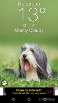 Weather Puppy